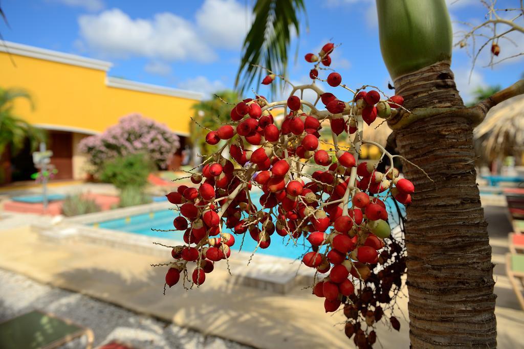 Apartmán Djambo (Adults Only) Playa Exteriér fotografie